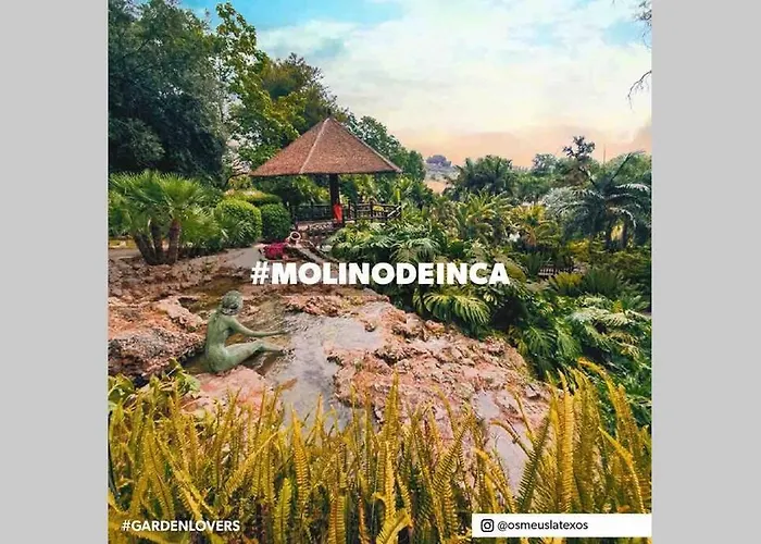 Roof Luxury Center By Namaste Elite